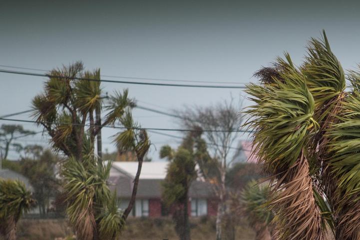 Workers trapped on rooftop as strong gusts bring down powerlines