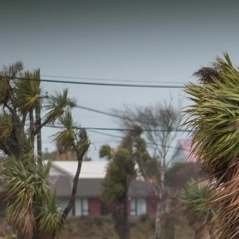 Workers trapped on rooftop as strong gusts bring down powerlines