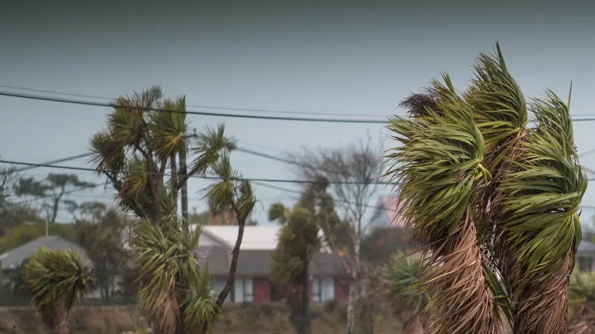 Workers trapped on rooftop as strong gusts bring down powerlines