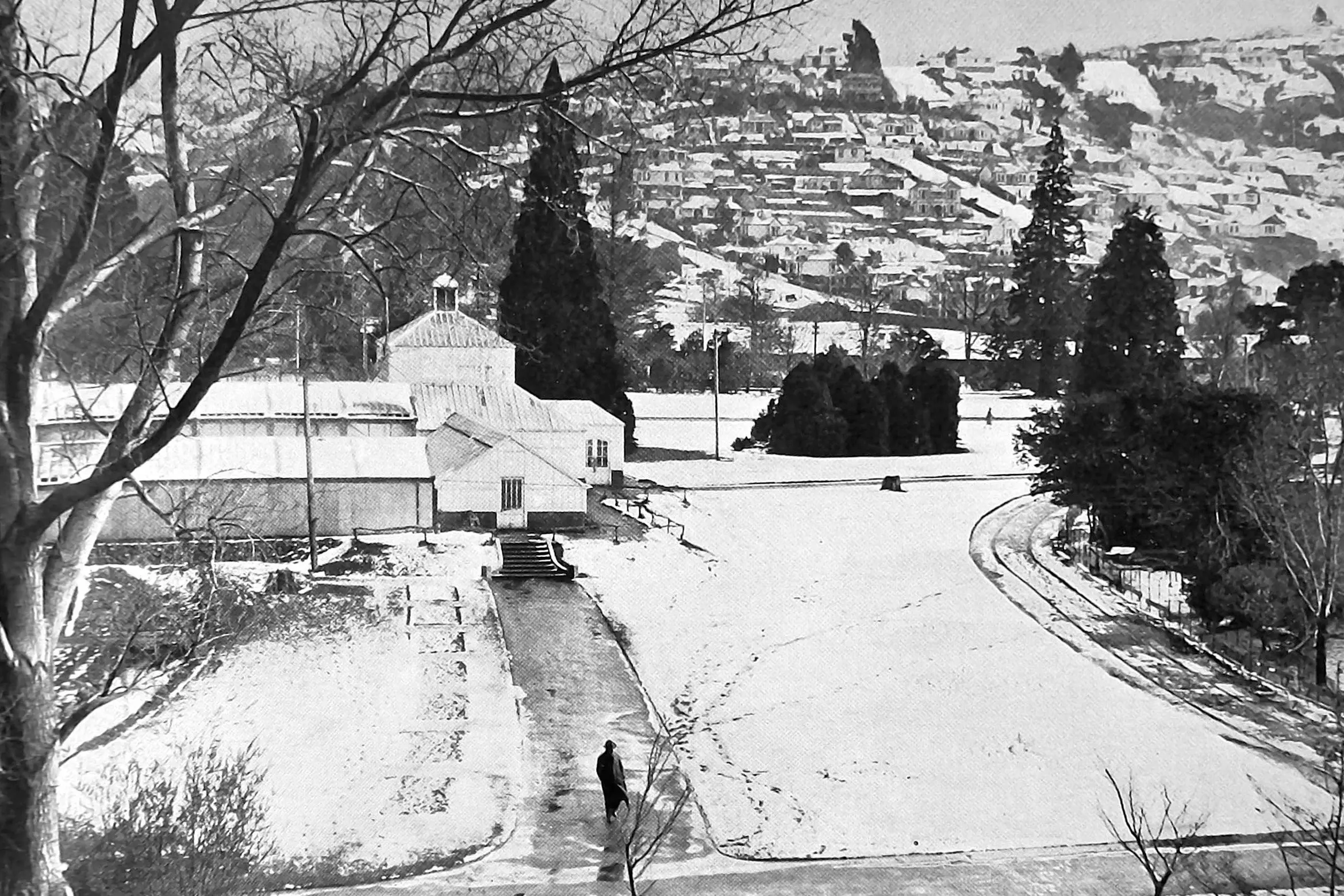 Snow blankets the Botanical Gardens (as Dunedin Botanic Garden was then known). Photo: <i>Otago Witness</i>, issue 3785, September 28, 1926, page 39