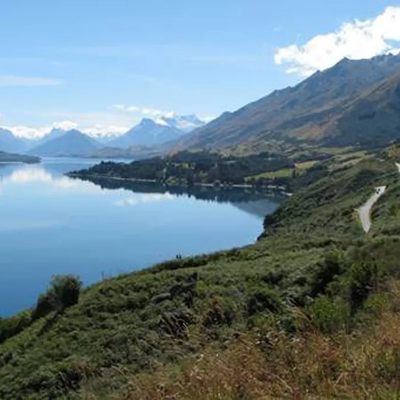 Glenorchy feeder ‘below acceptable performance’