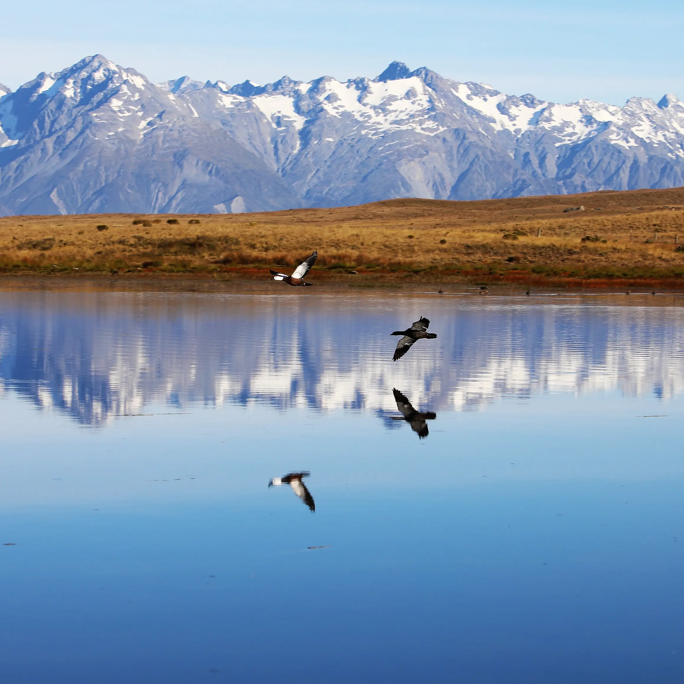Alpine Fault quake could ‘split Tekapo in two’
