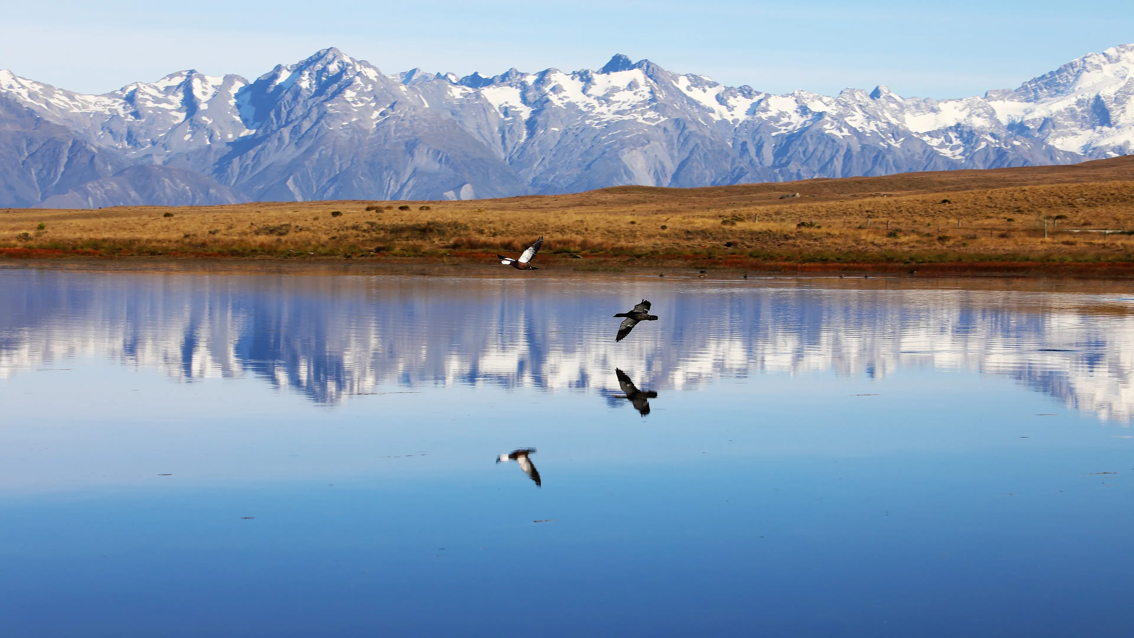 Alpine Fault quake could ‘split Tekapo in two’