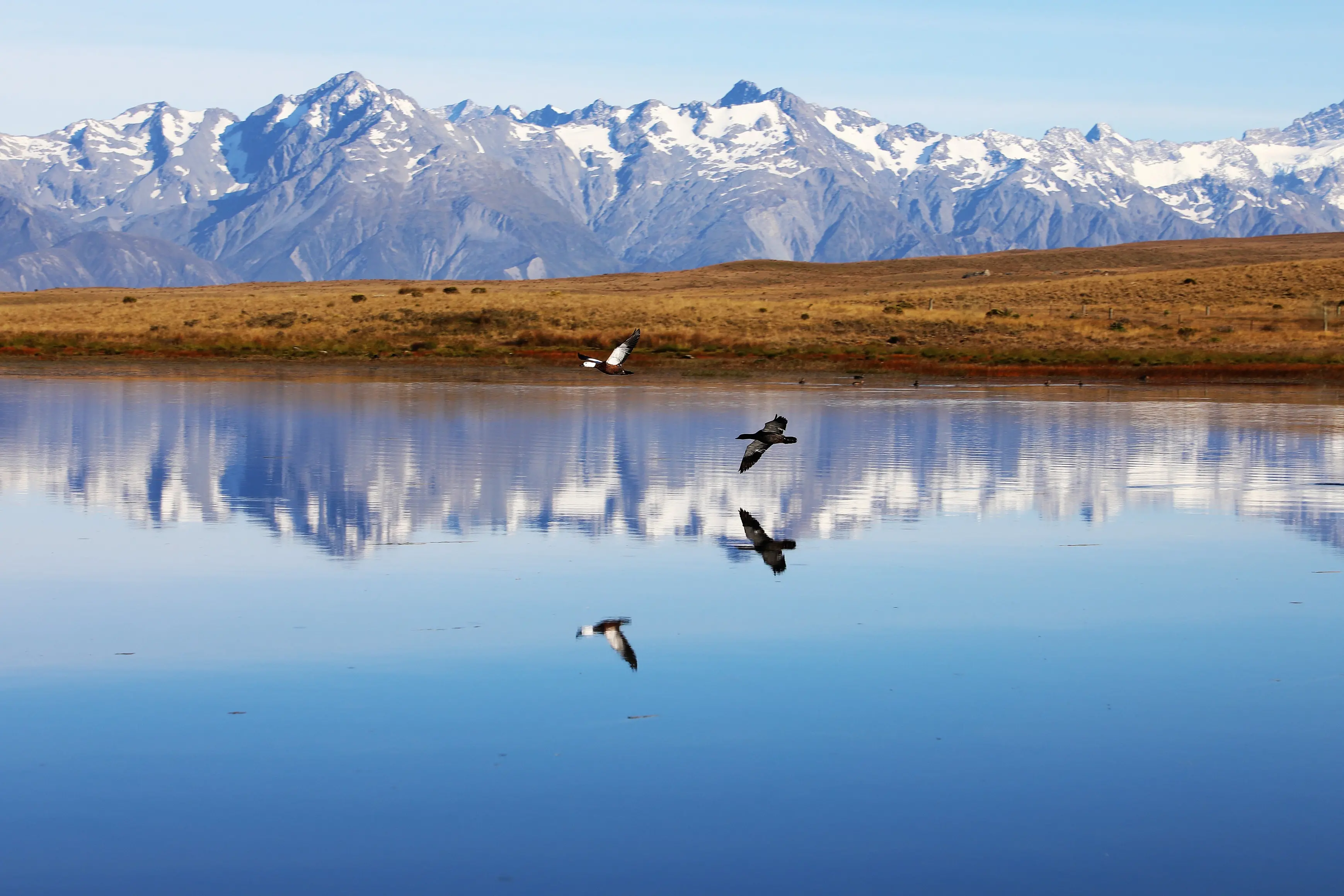 Tekapo could be split in two and cut off from critical emergency responders if an earthquake struck the \\nAlpine Fault.