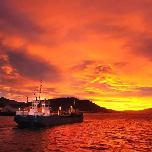 Question asked whether Port Otago will continue land reclamation
