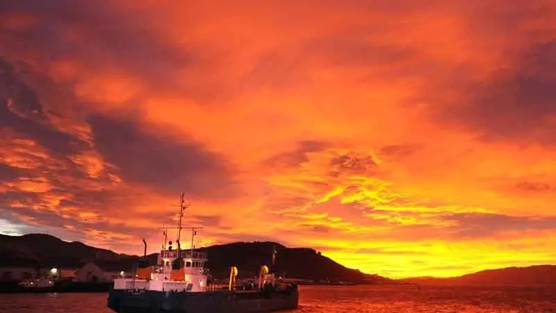 Question asked whether Port Otago will continue land reclamation