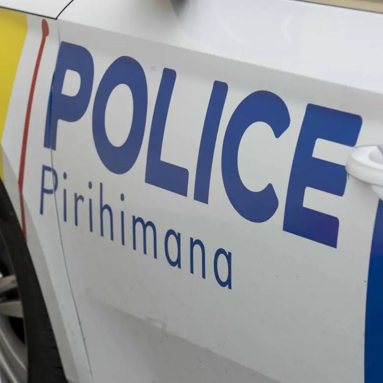 Five youths arrested after spree of alleged vehicle thefts near Queenstown: police