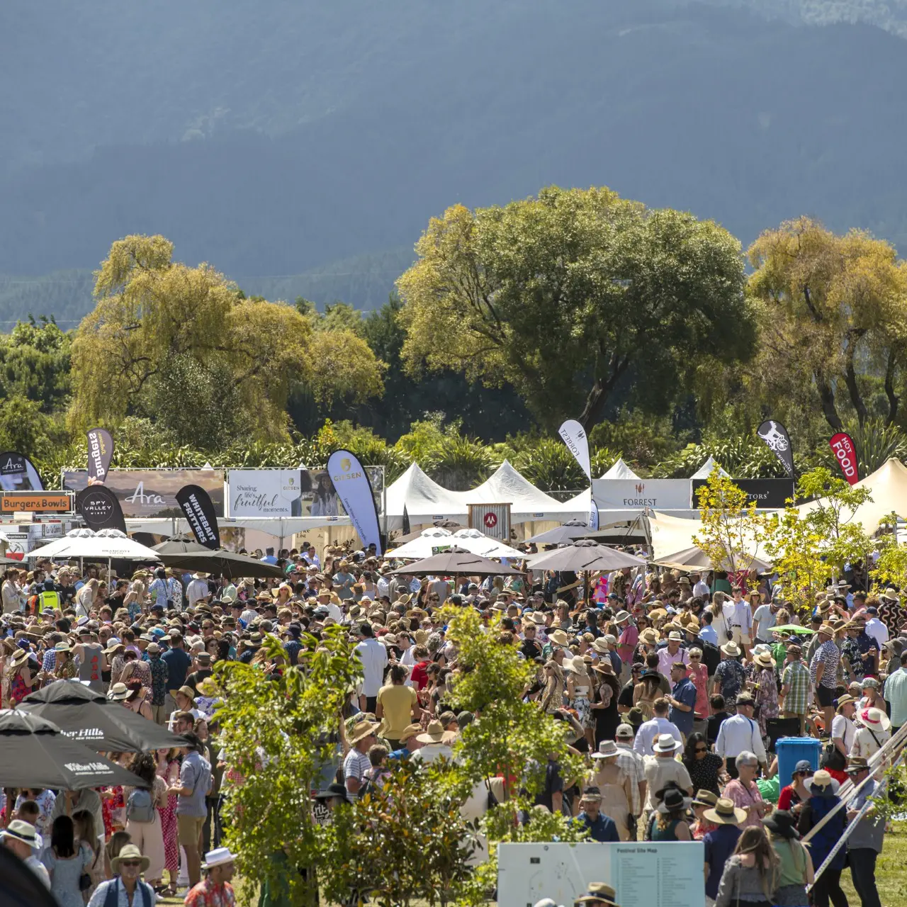Marlborough Wine & Food Festival shelved in shock move