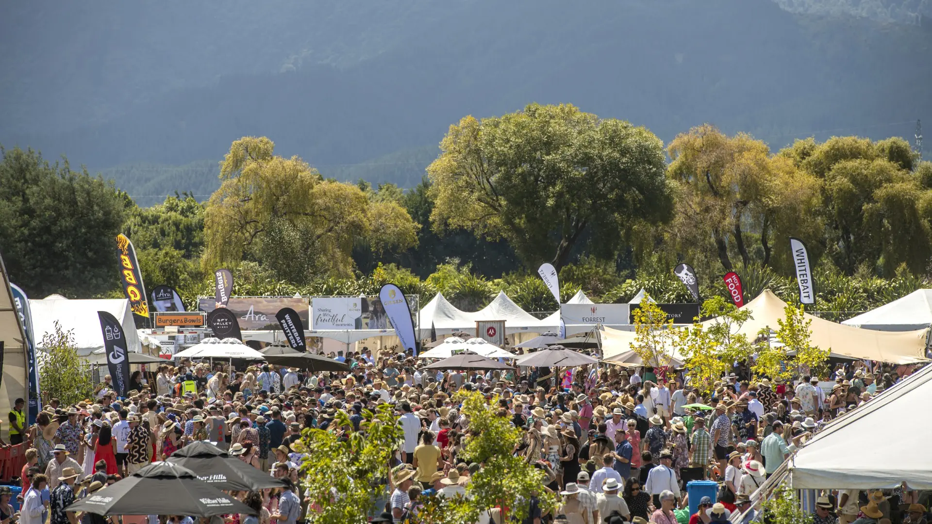 Marlborough Wine & Food Festival shelved in shock move