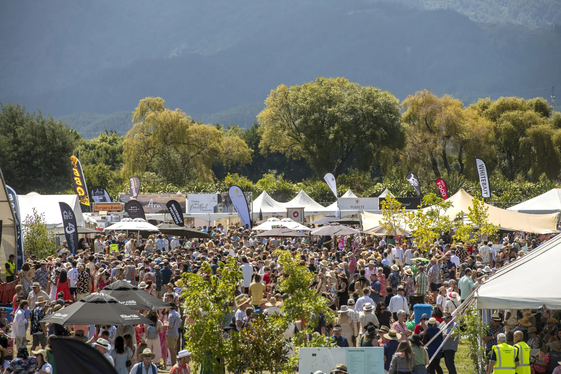 Marlborough Wine & Food Festival attracted thousands of people but investment concerns have seen it put on hold indefinitely. Photo: Richard Briggs