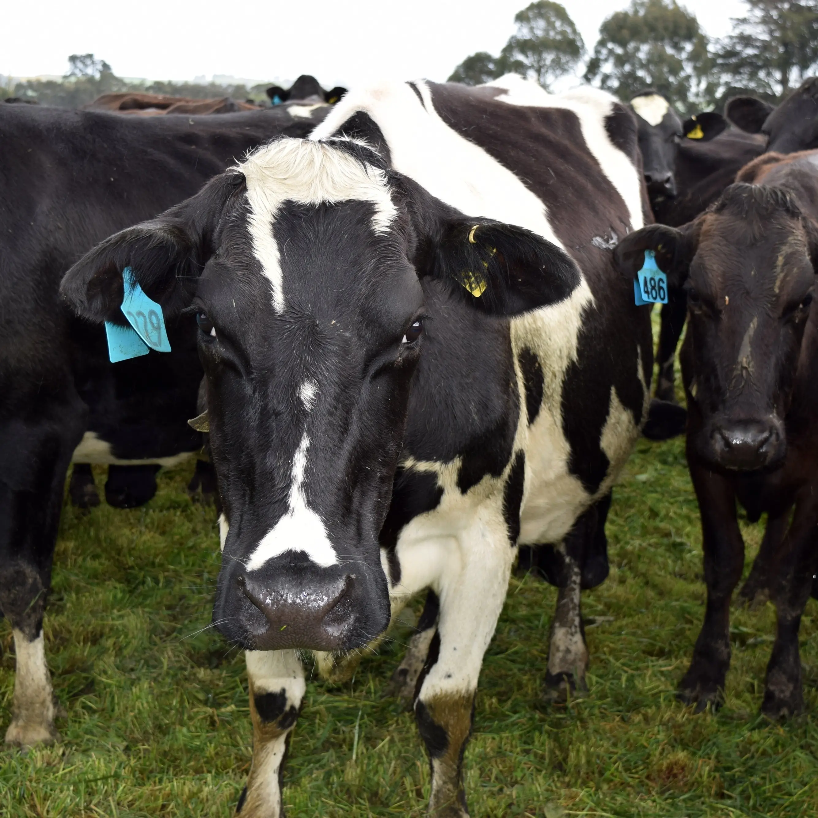 Government to change freshwater farm plan system