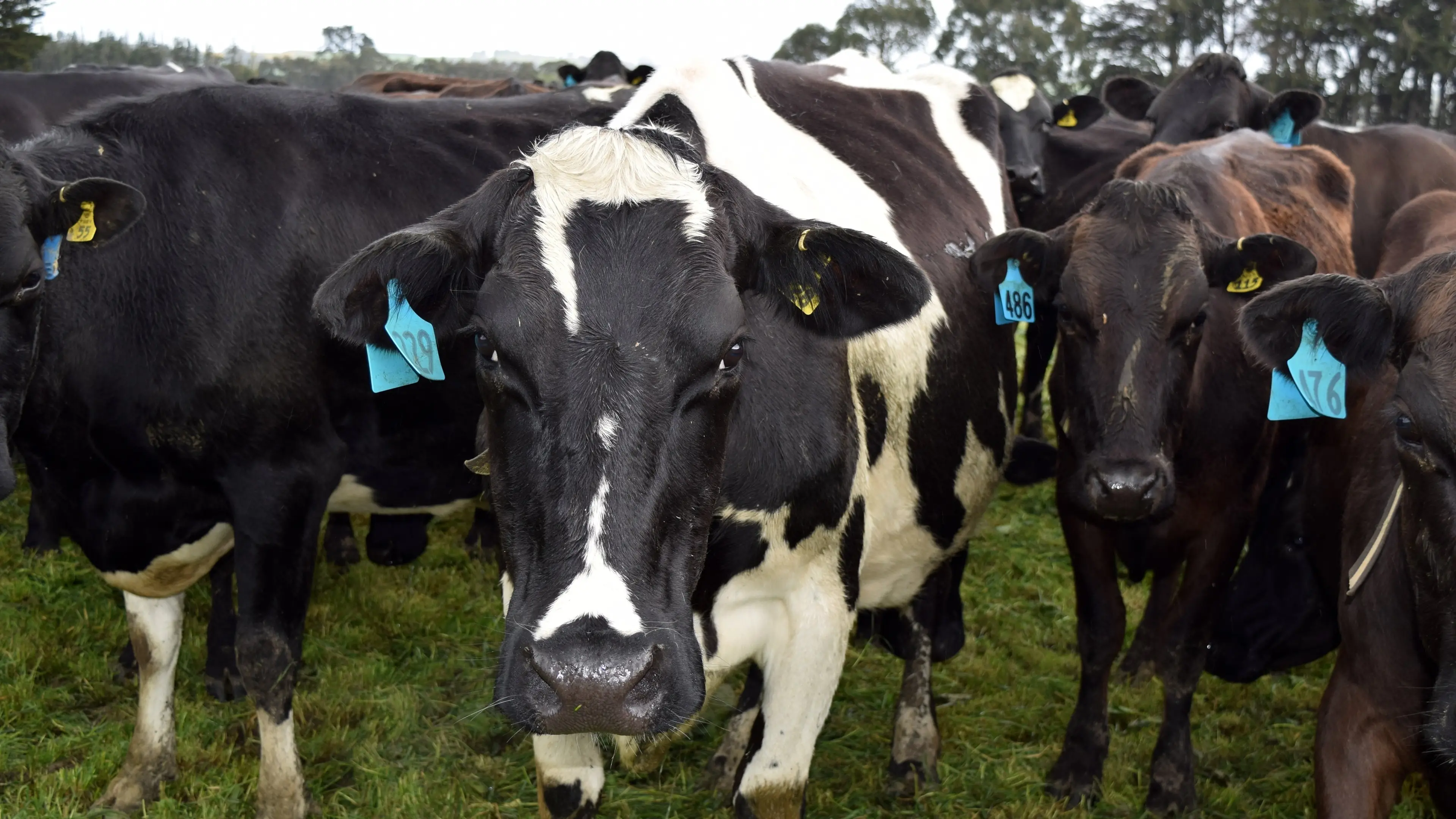 Government to change freshwater farm plan system