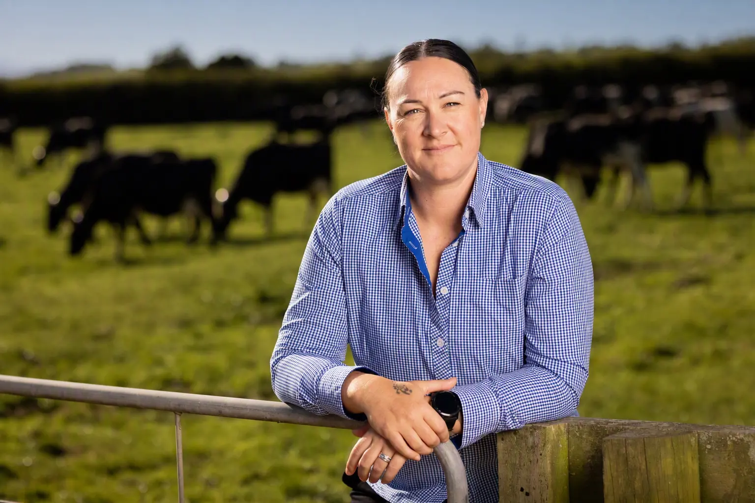 Bex Green . . . North Canterbury dairy farmer and president of North Canterbury Federted Farms, has been appointed an associate director on the board of FMG. Photo: Supplied