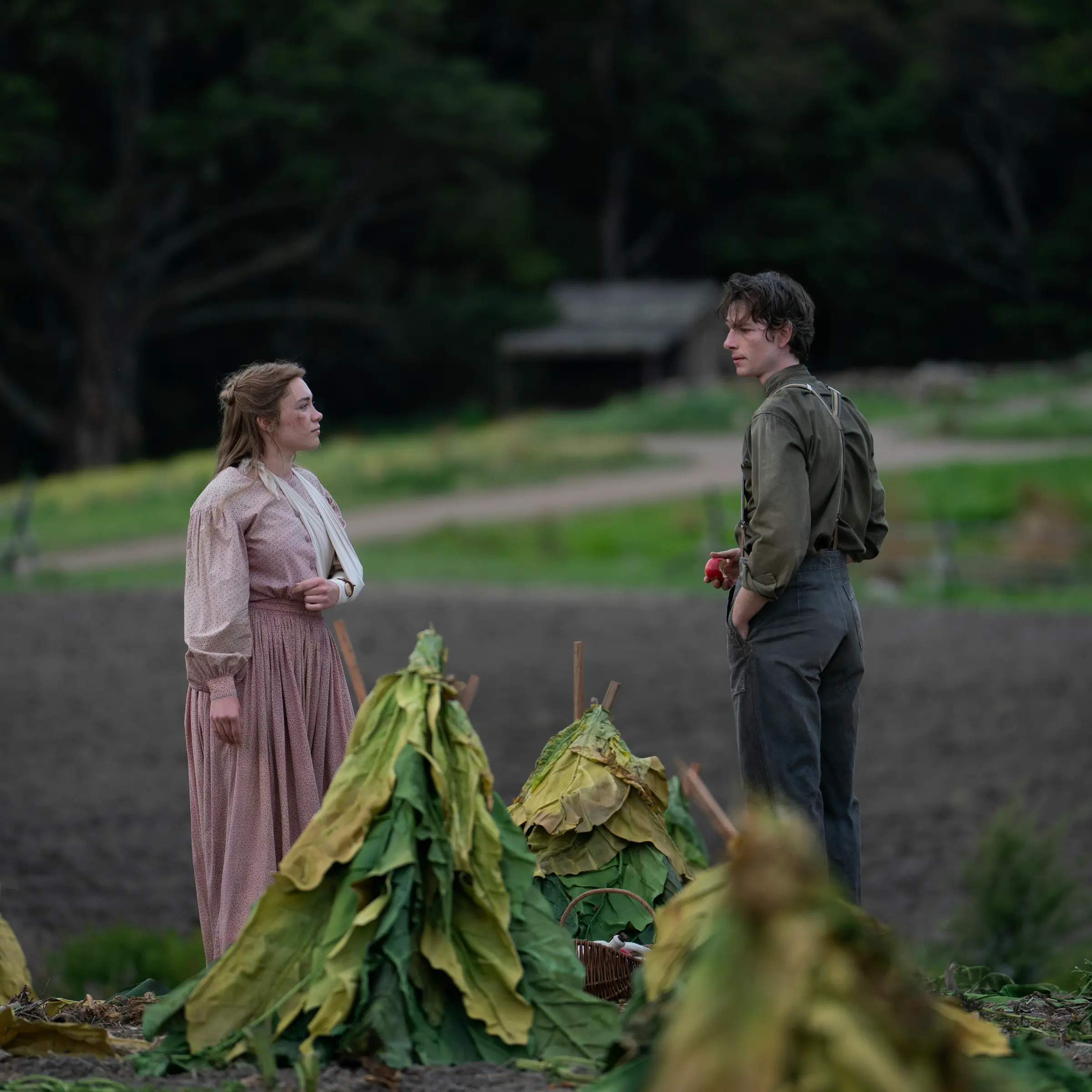 Otago-filmed ‘East of Eden’ to drop on Netflix in October