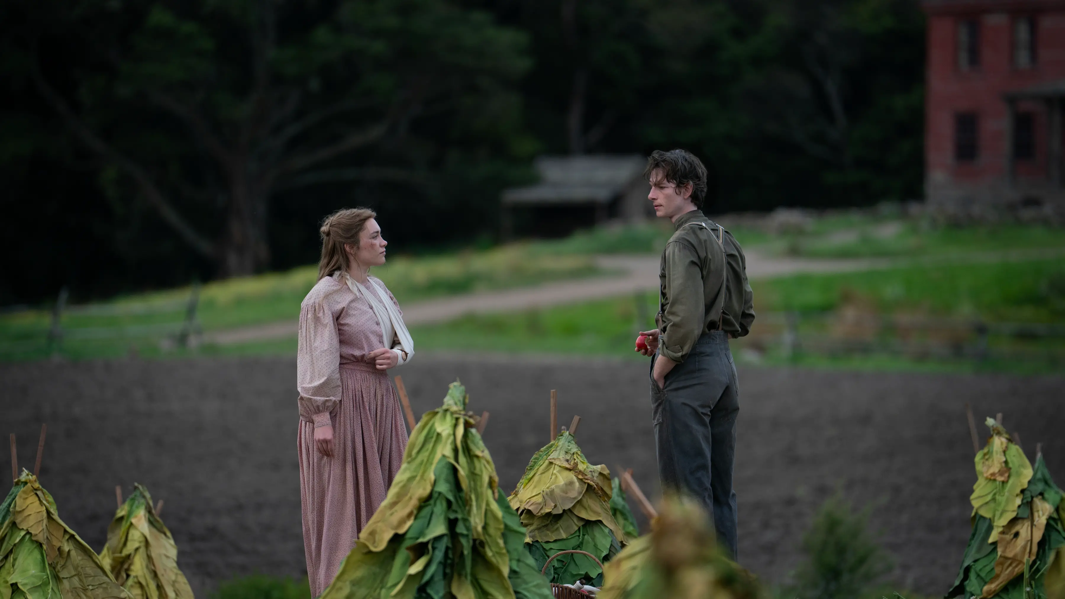 Otago-filmed ‘East of Eden’ to drop on Netflix in October