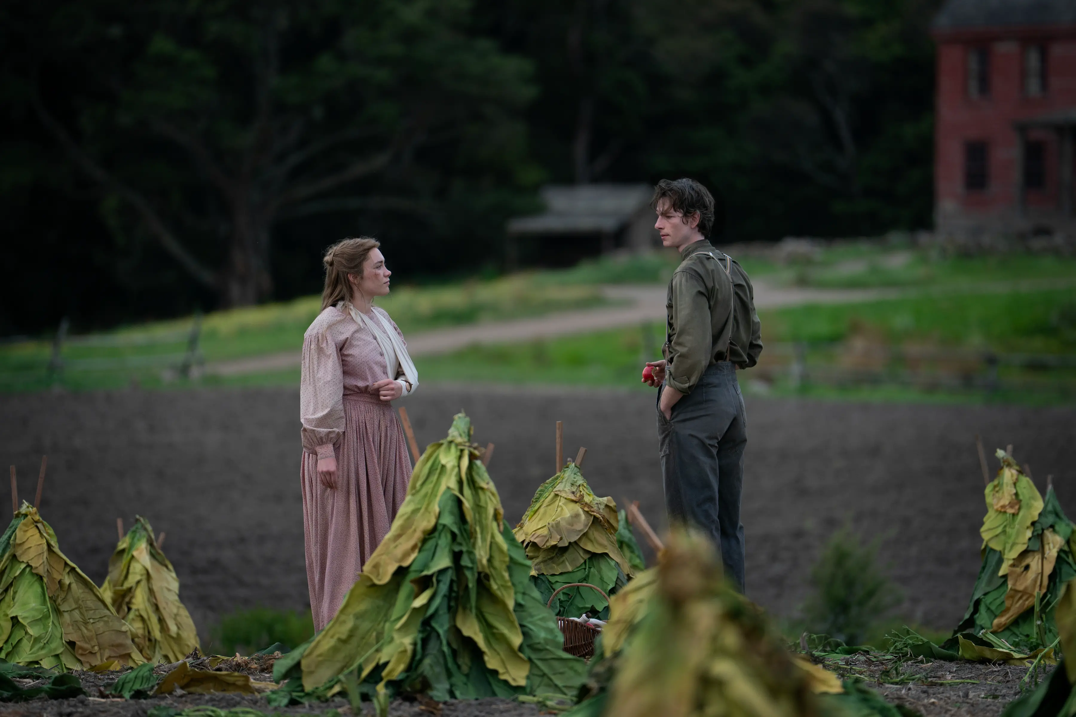 Newly released stills from <i>East of Eden</i> show Florence Pugh as Cathy Ames and Mike Faist as Charles Trask. Photo: Geoffrey Short/Netflix