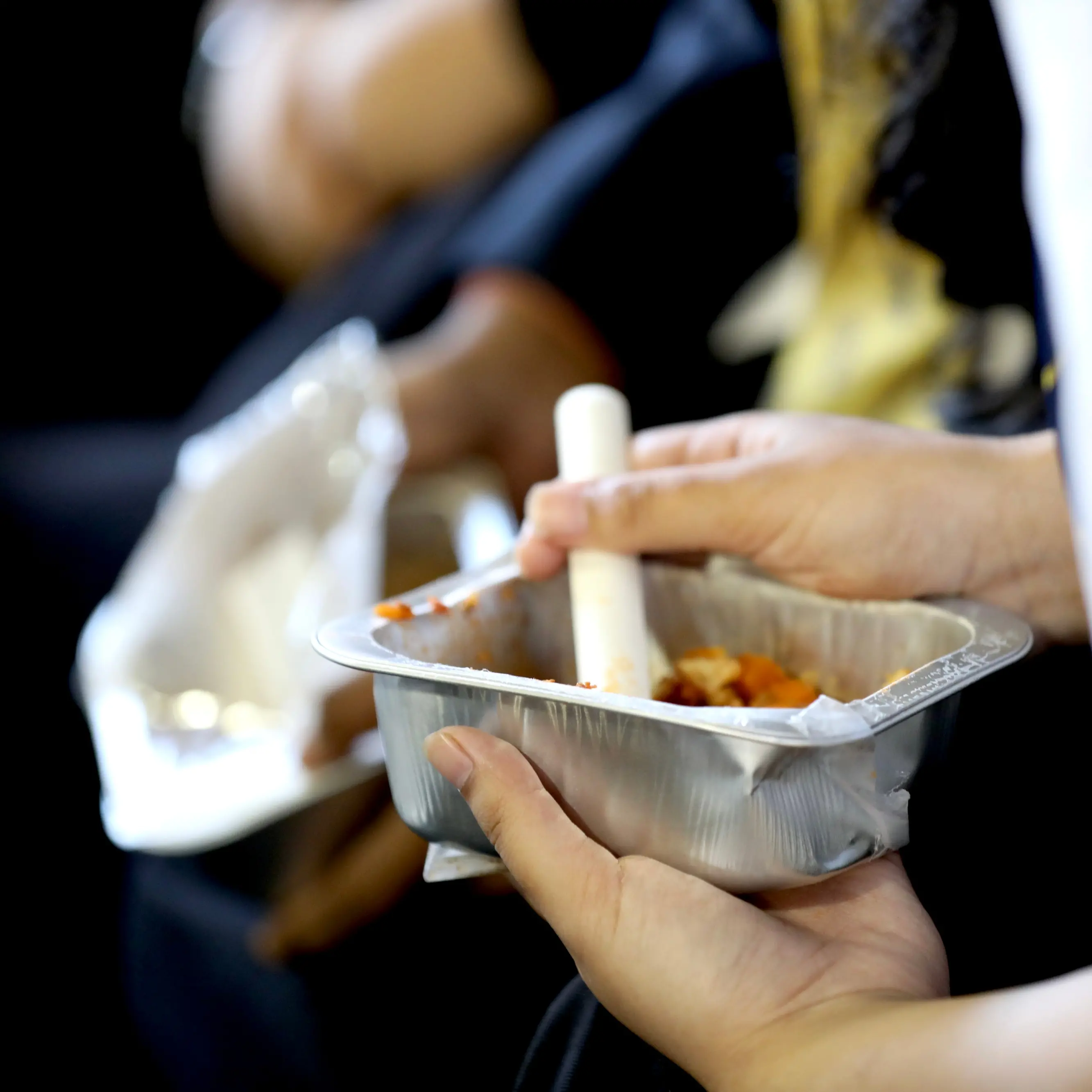 Greens promise to bring back original school lunch programme