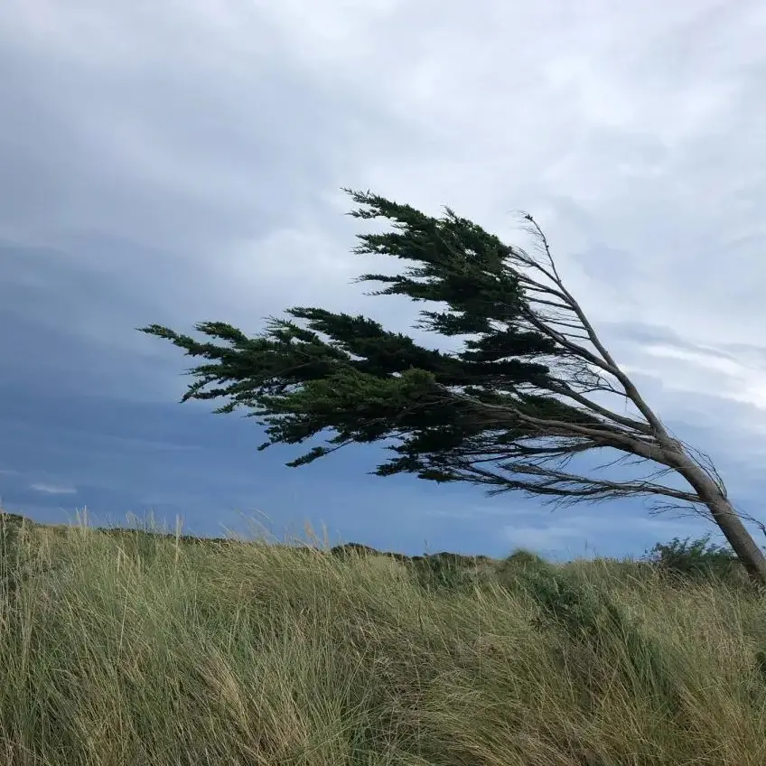 Strong winds to batter South at the weekend