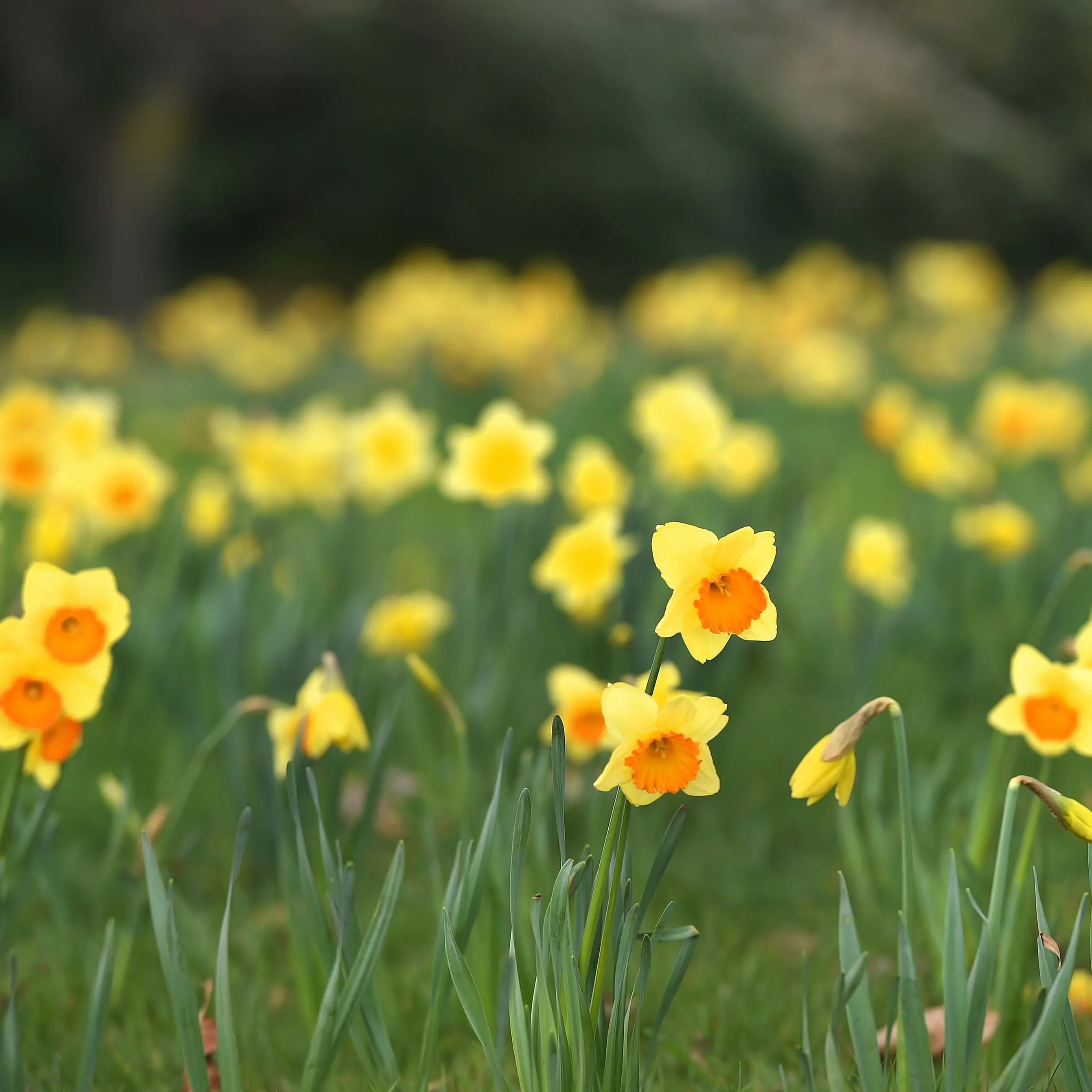 Conditions fluctuate wildly as spring nears