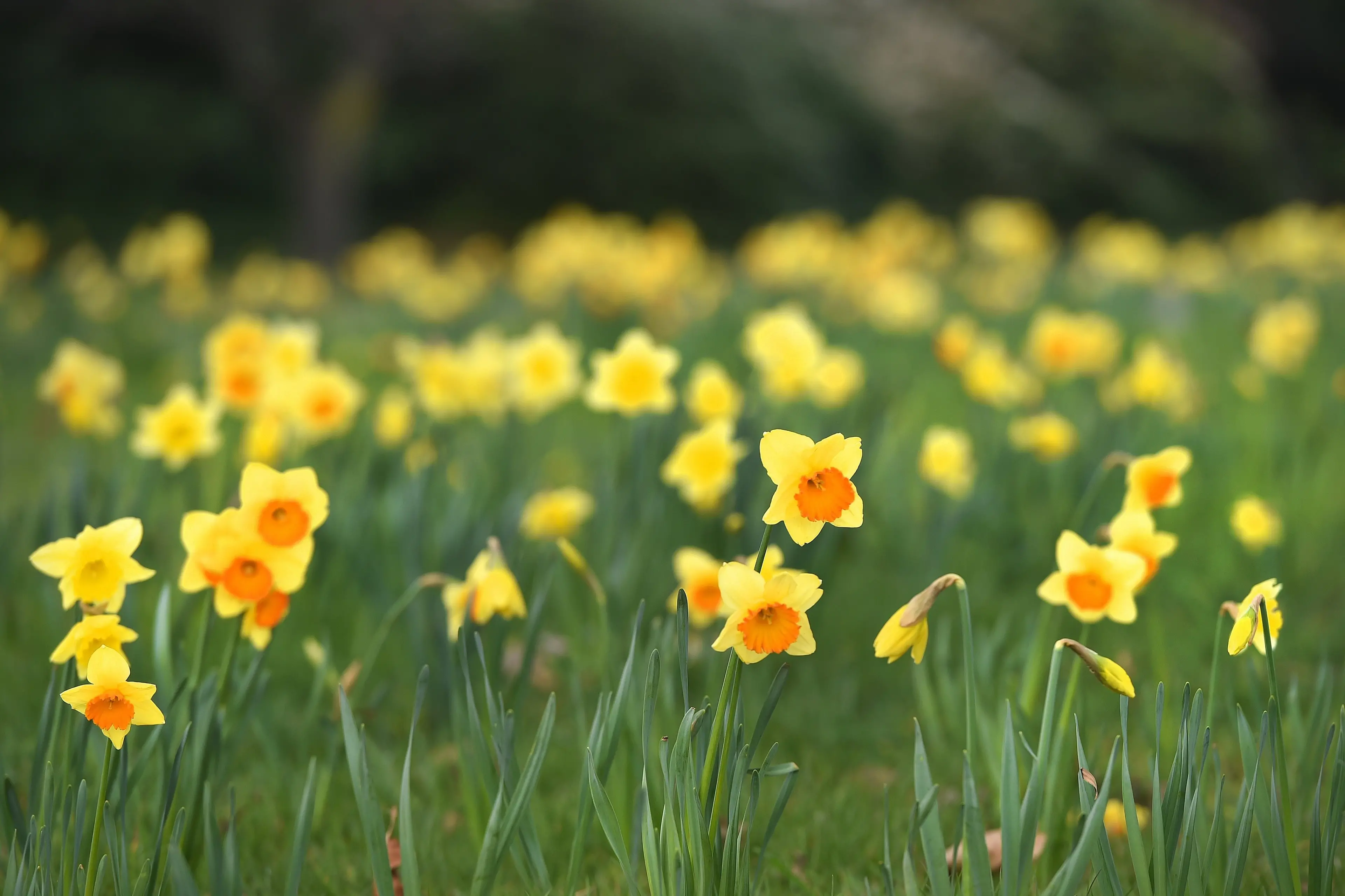 Weather conditions are starting to fluctuate wildly as spring approaches the southern regions. Photo: Gregor Richardson