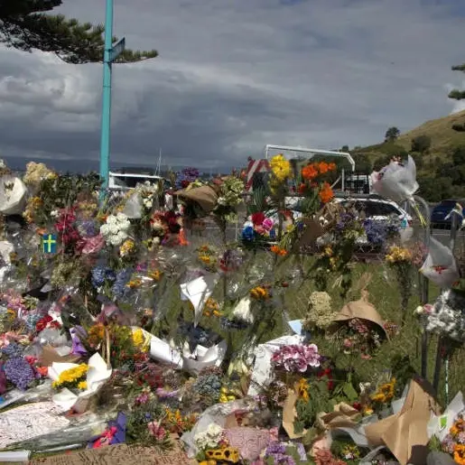Report warning of high risk to life from Mount Maunganui landslide went unread by officials