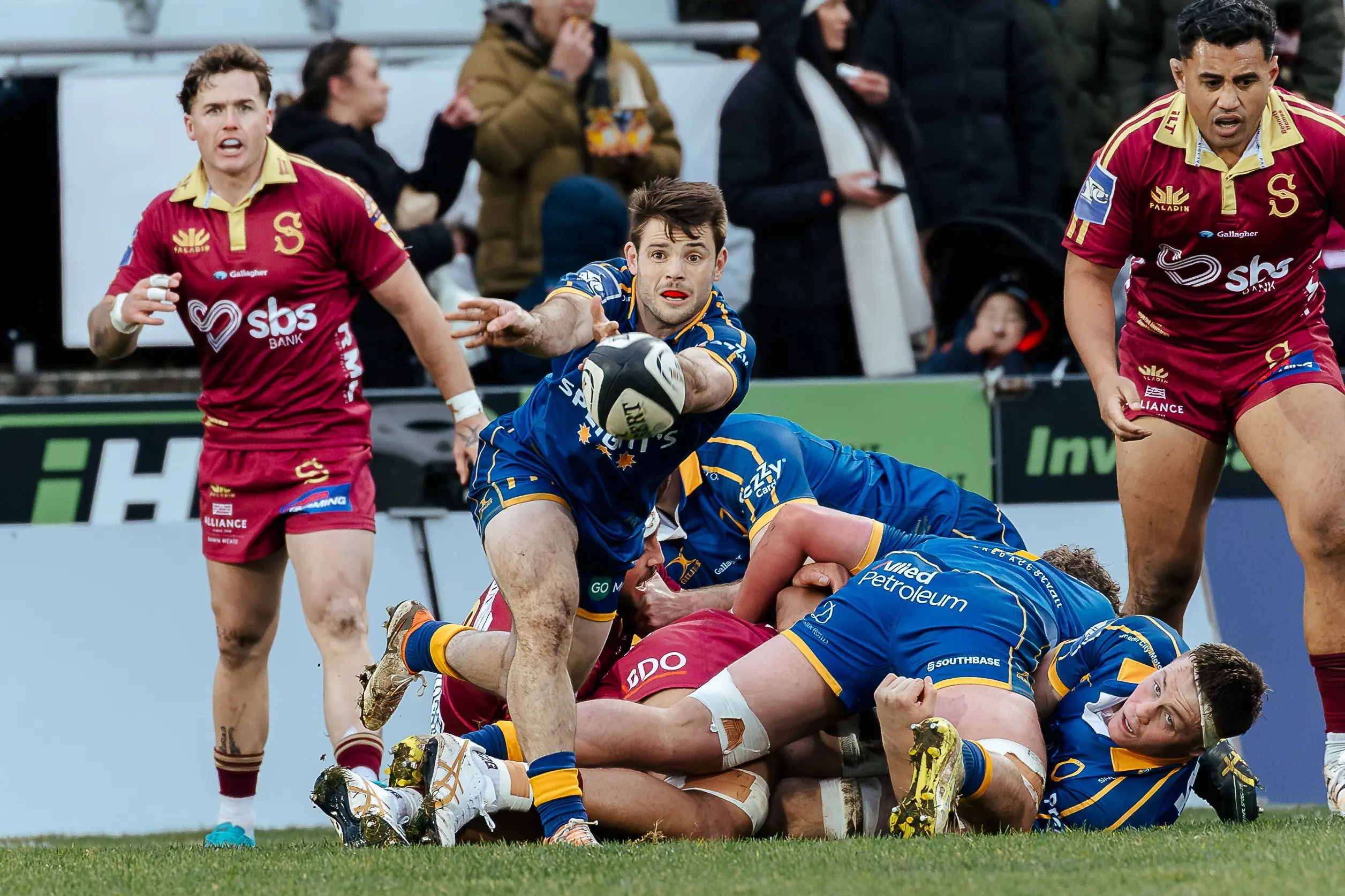 Halfback Kieran McClea has been a live wire for Otago. Photo: Debbie Fahey Photography