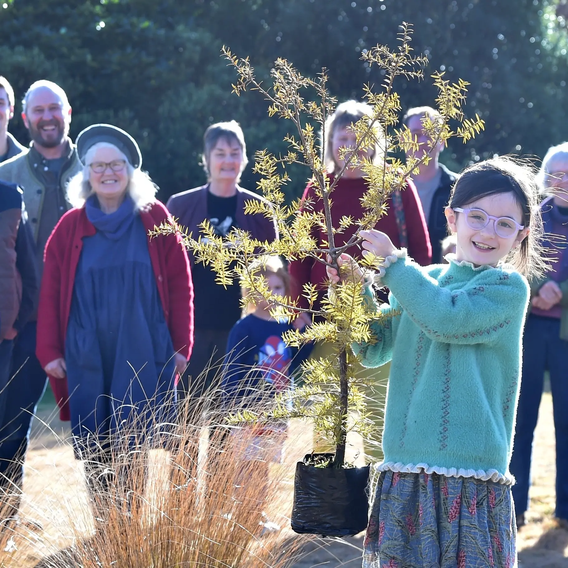 ‘Mighty Tōtara’ planted to honour the late author Neville Peat