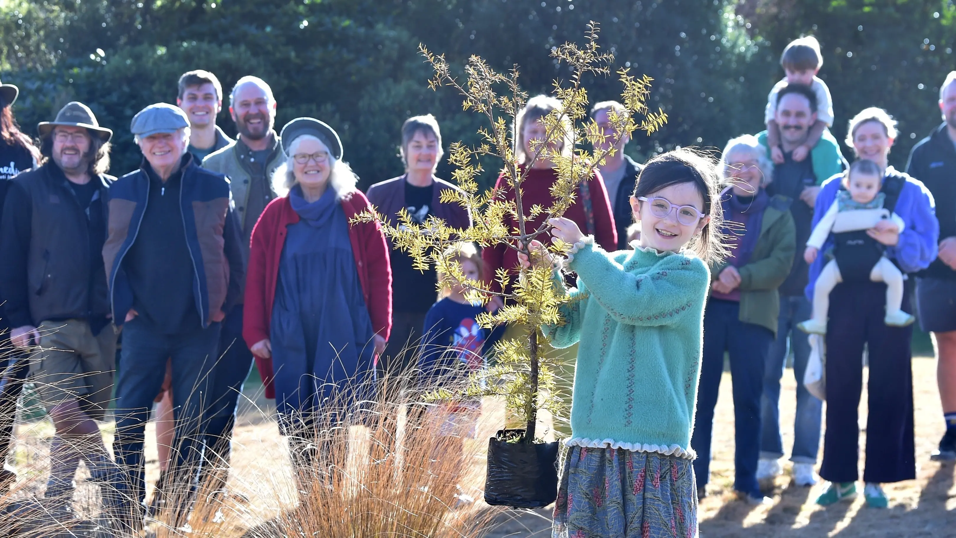 ‘Mighty Tōtara’ planted to honour the late author Neville Peat