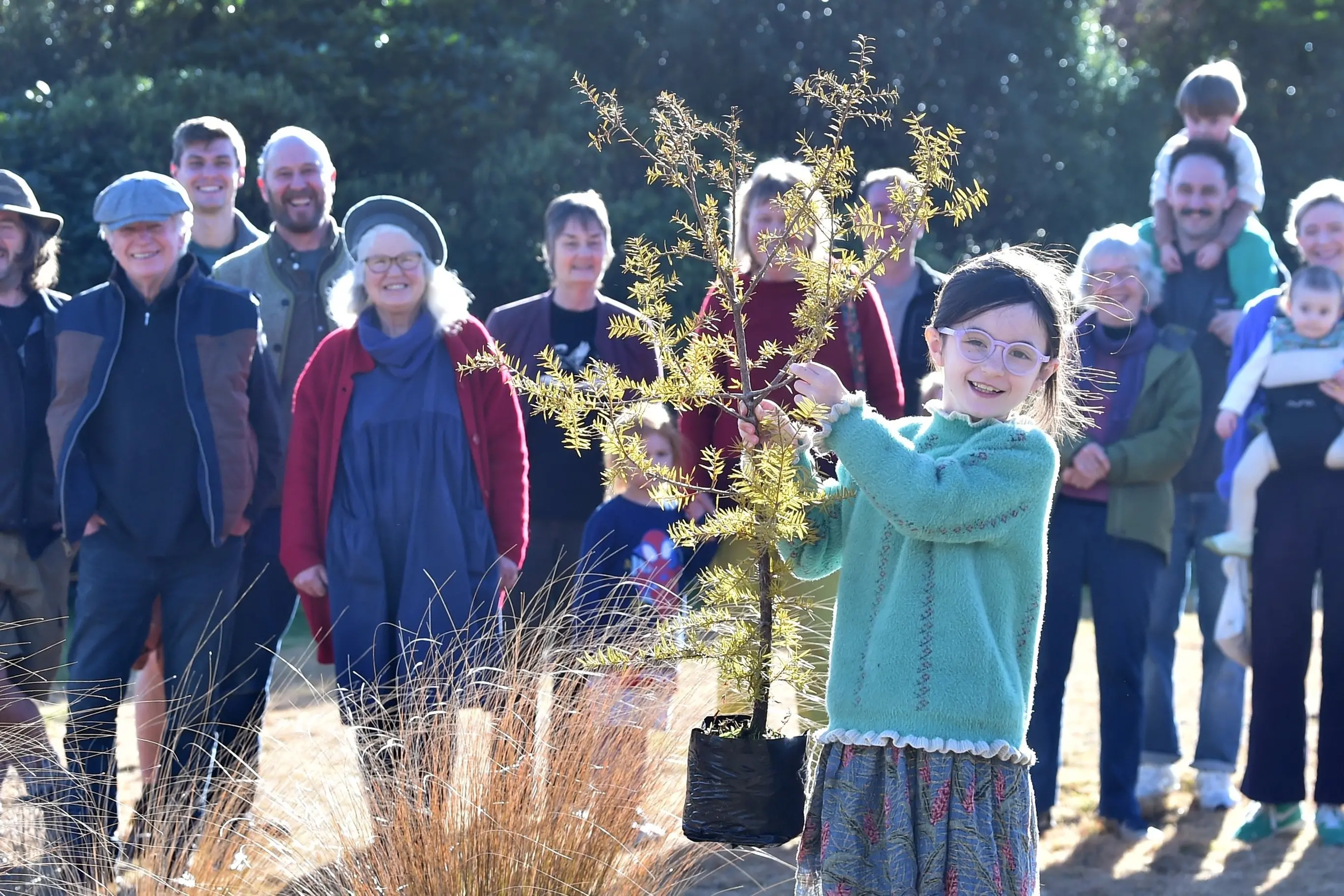 Planting a totara tree in her grandfather Neville Peat\\'s memory and honour at the Orokonui Ecosanctuary on Saturday was Gracie Rutherford-Peat, 7.\\u00A0Photo: Peter McIntosh