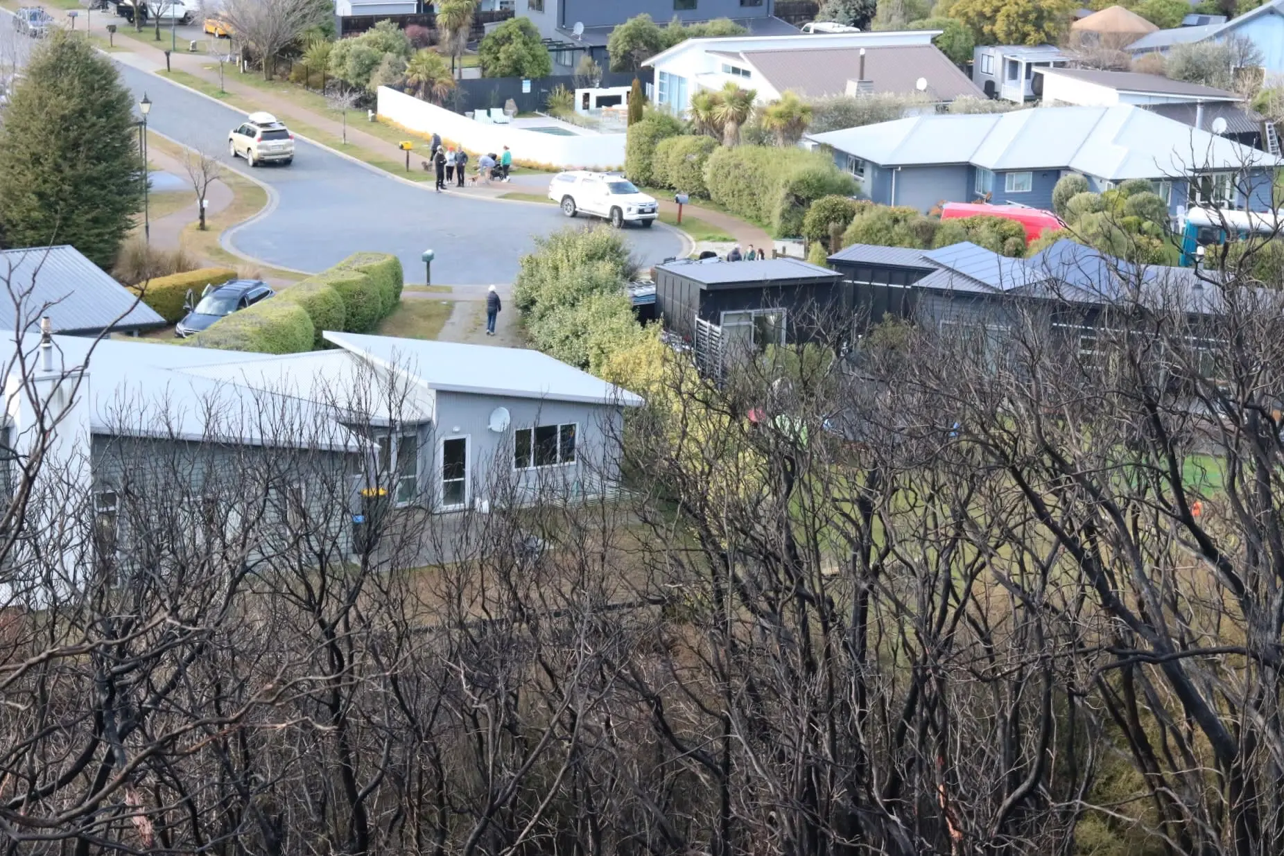 Burnt trees show how close the Albert Town wildfire came to nearby houses.