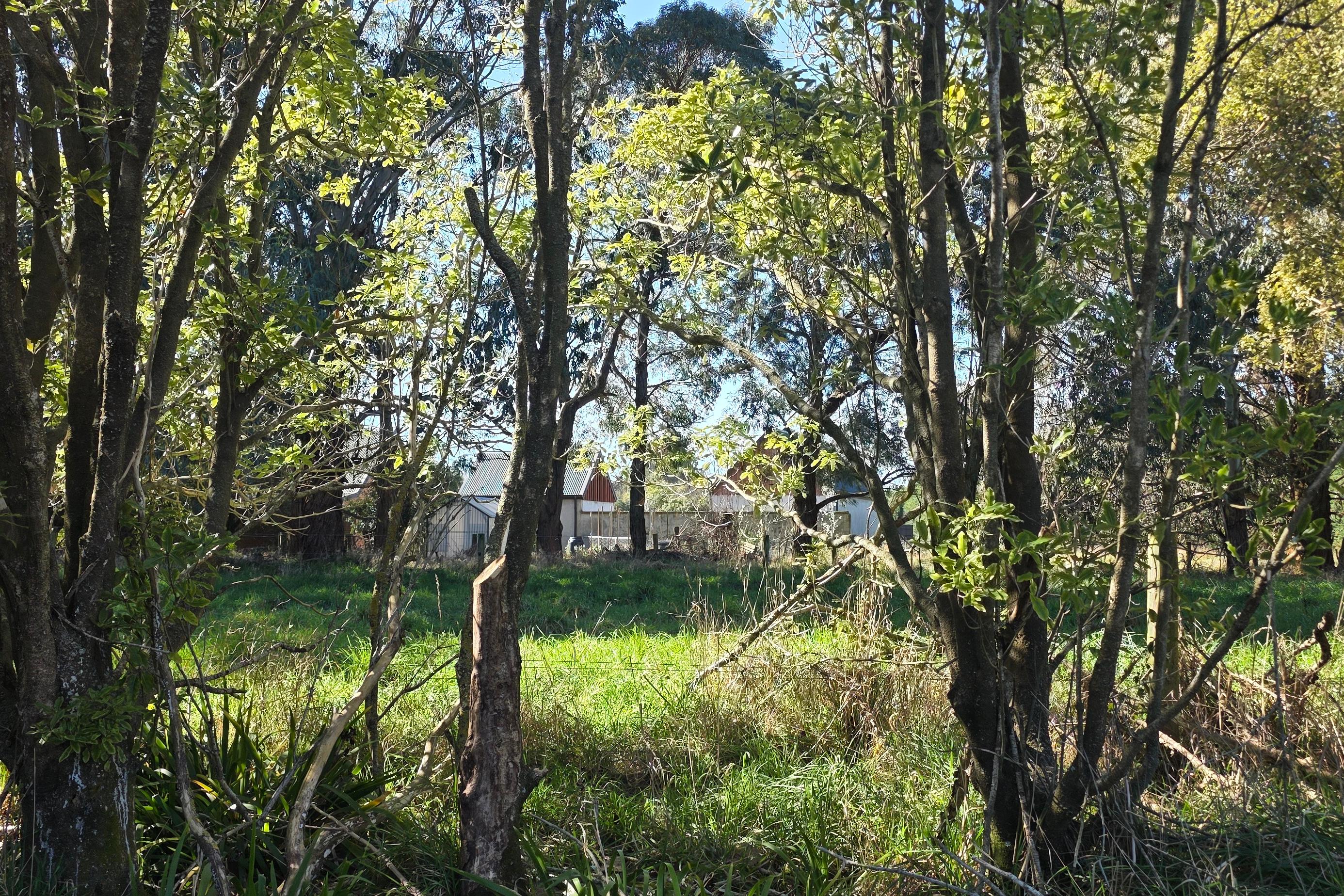Community leader worried homes in planned subdivision could become Airbnbs
