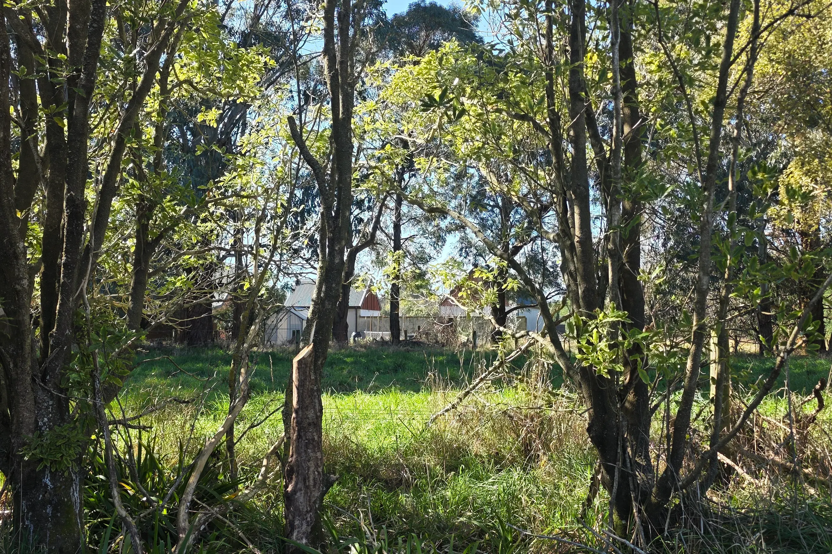 Wolfbrook bought the land in November last year for $4.3m. Photo: Daniel Alvey