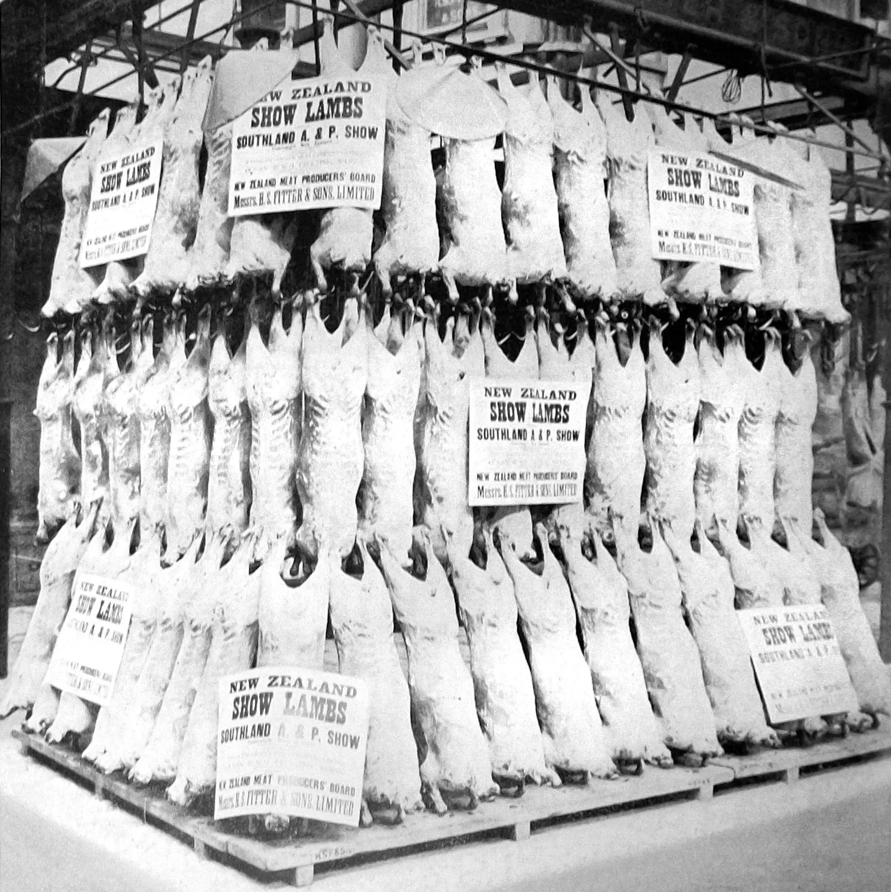 Smaller animals, smaller cuts