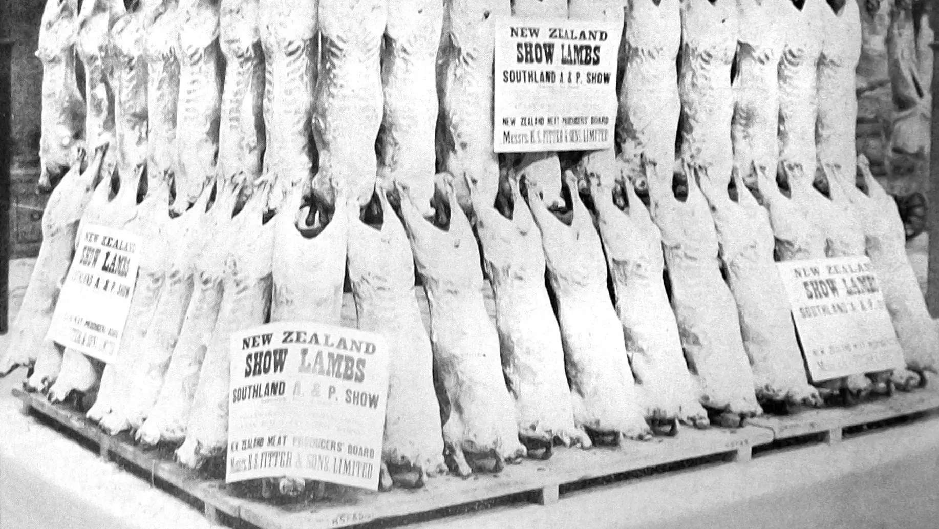 Smaller animals, smaller cuts