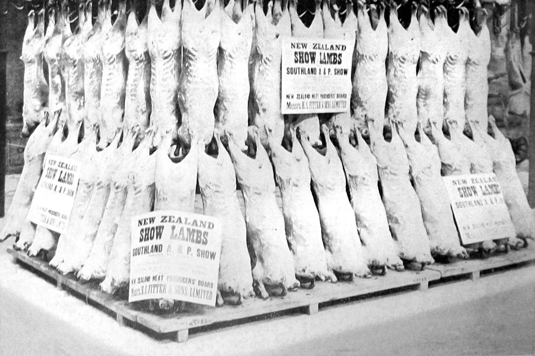 Whole New Zealand lamb carcasses on display in London by Henry S. Fitter and Sons in conjunction with the New Zealand Meat Producers Board. Photo: <i>Otago Witness</i>, issue 3784, September 21, 1926, page 46