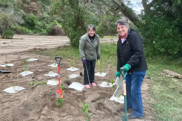 Daphne and Doris Manderson planting trees in a Sumner red zone. Photo: Sarah Mankelow