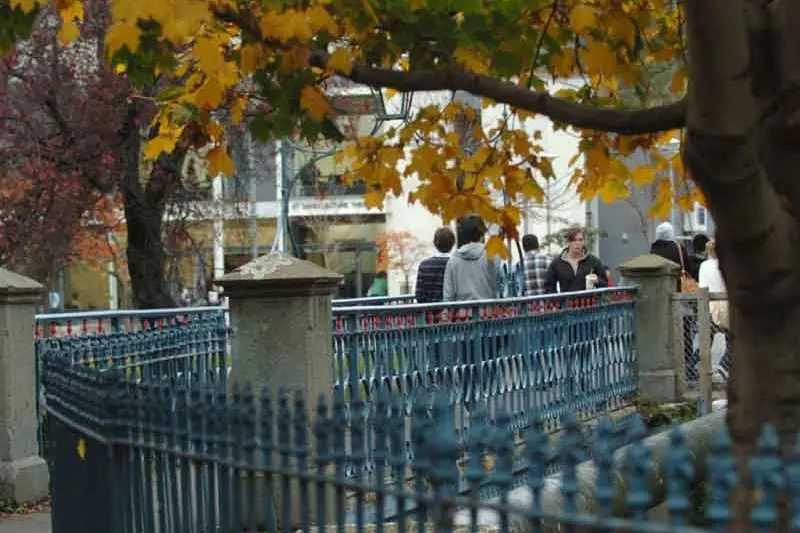 <p>Students walk through the University of Otago. File photo: Peter McIntosh&nbsp;</p>\\n
