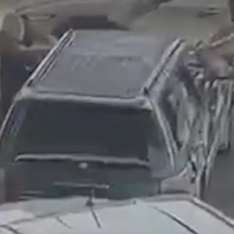 Dramatic footage of Dunedin police drawing pistols on petrol thief revealed