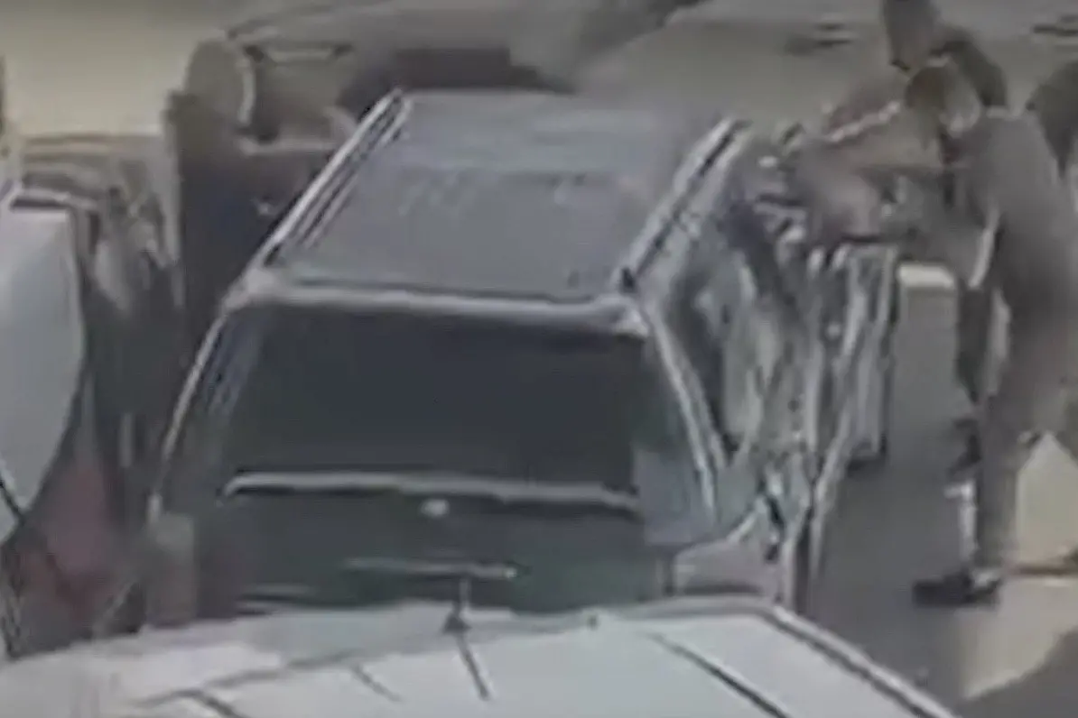 Dramatic footage of Dunedin police drawing pistols on petrol thief revealed