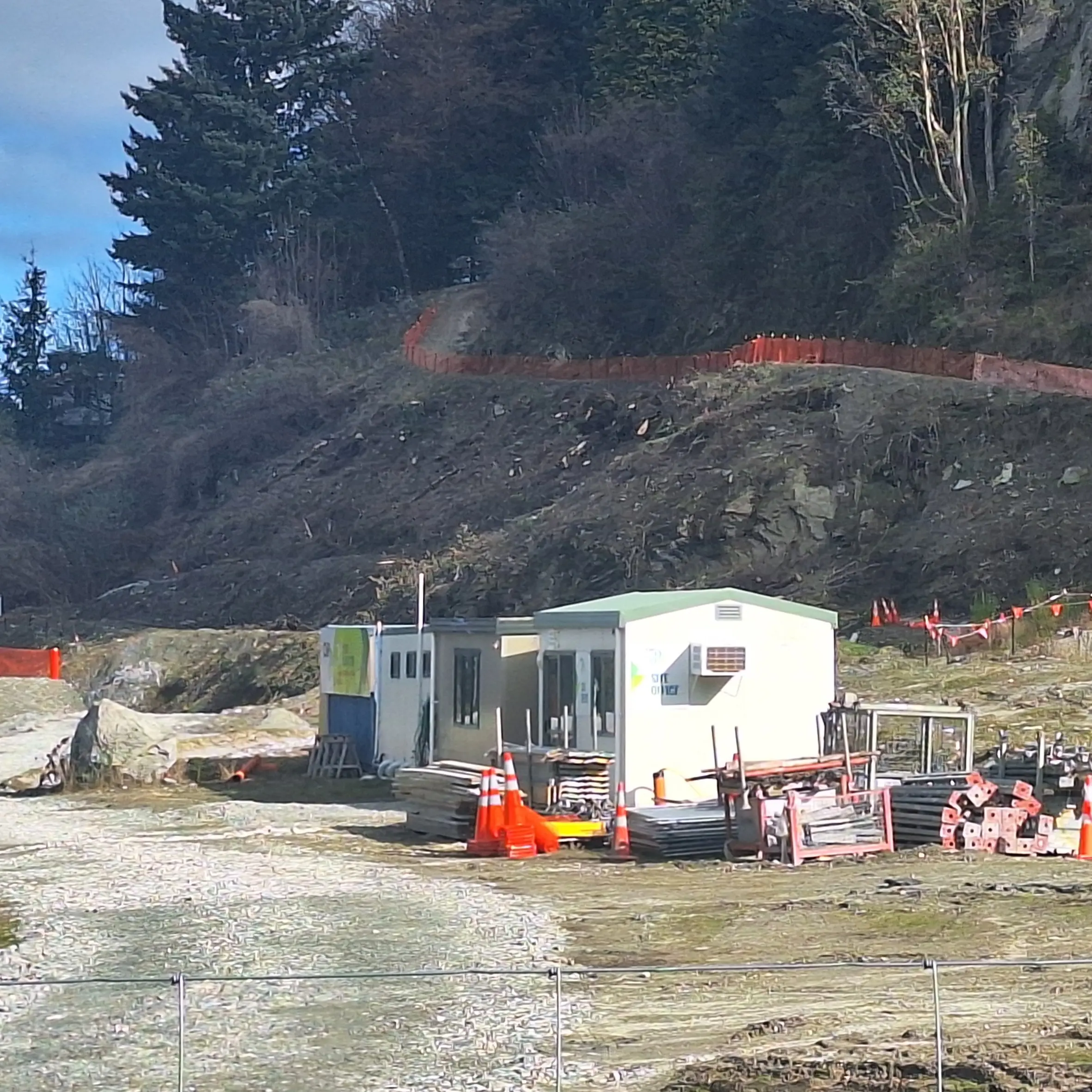 Lakeview ‘not stopped’ despite site slowdown