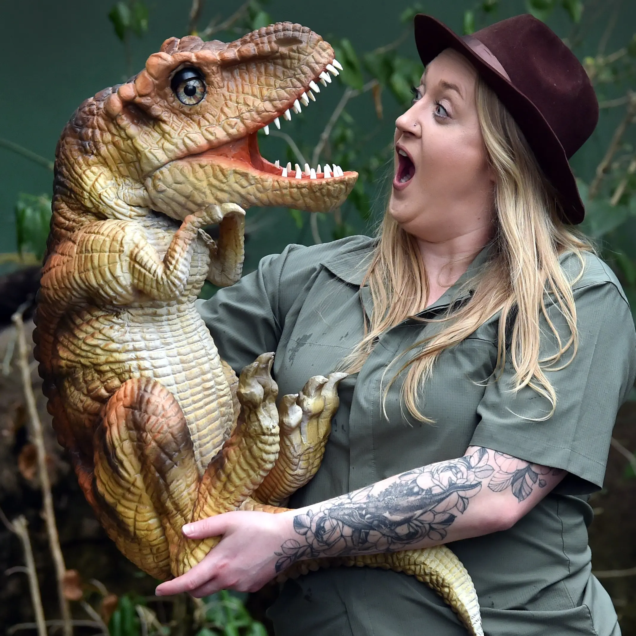 Baby T-Rex to greet museum visitors
