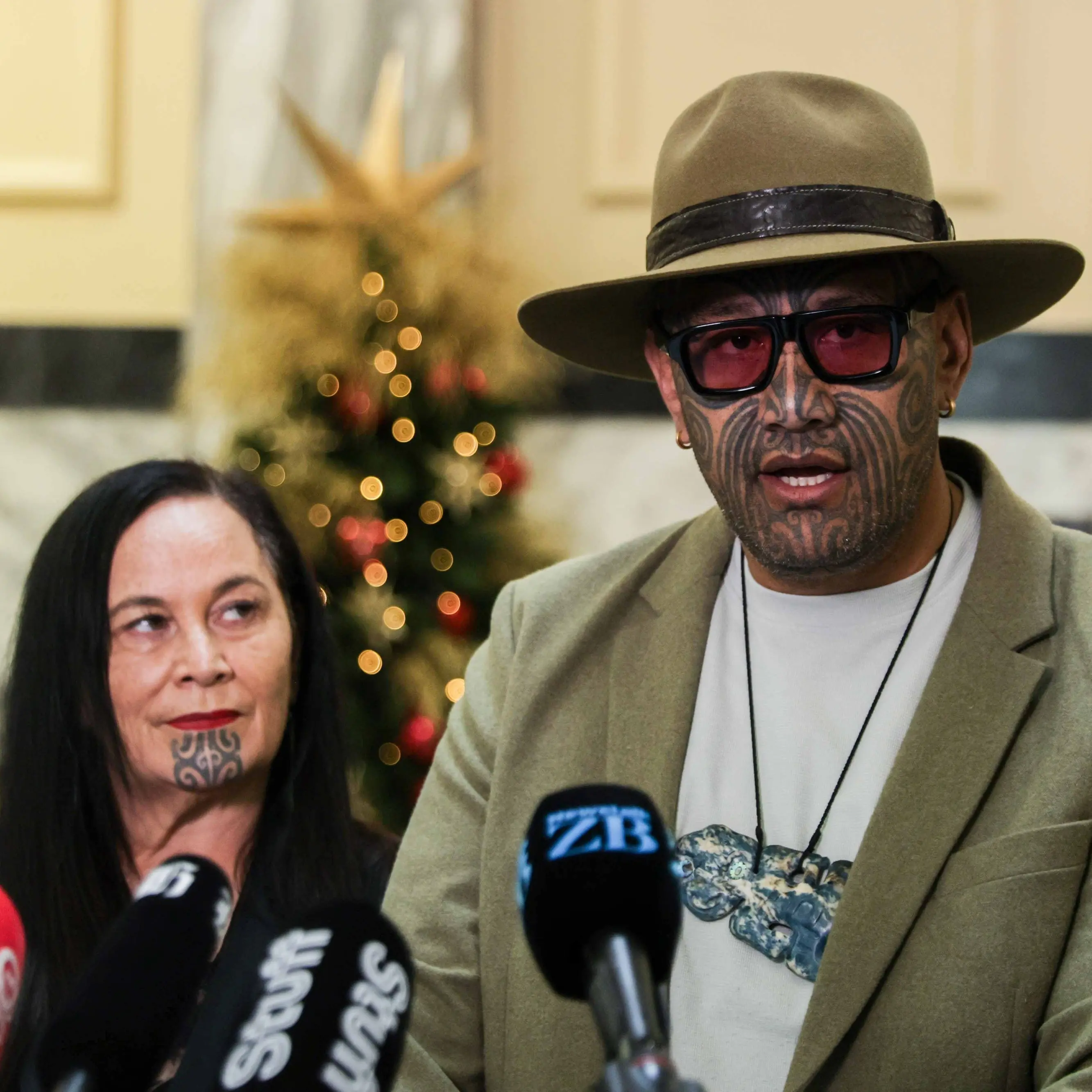 Te Pāti Māori unveils 'Kiwi tax plan' with new 5% ‘stamp duty’