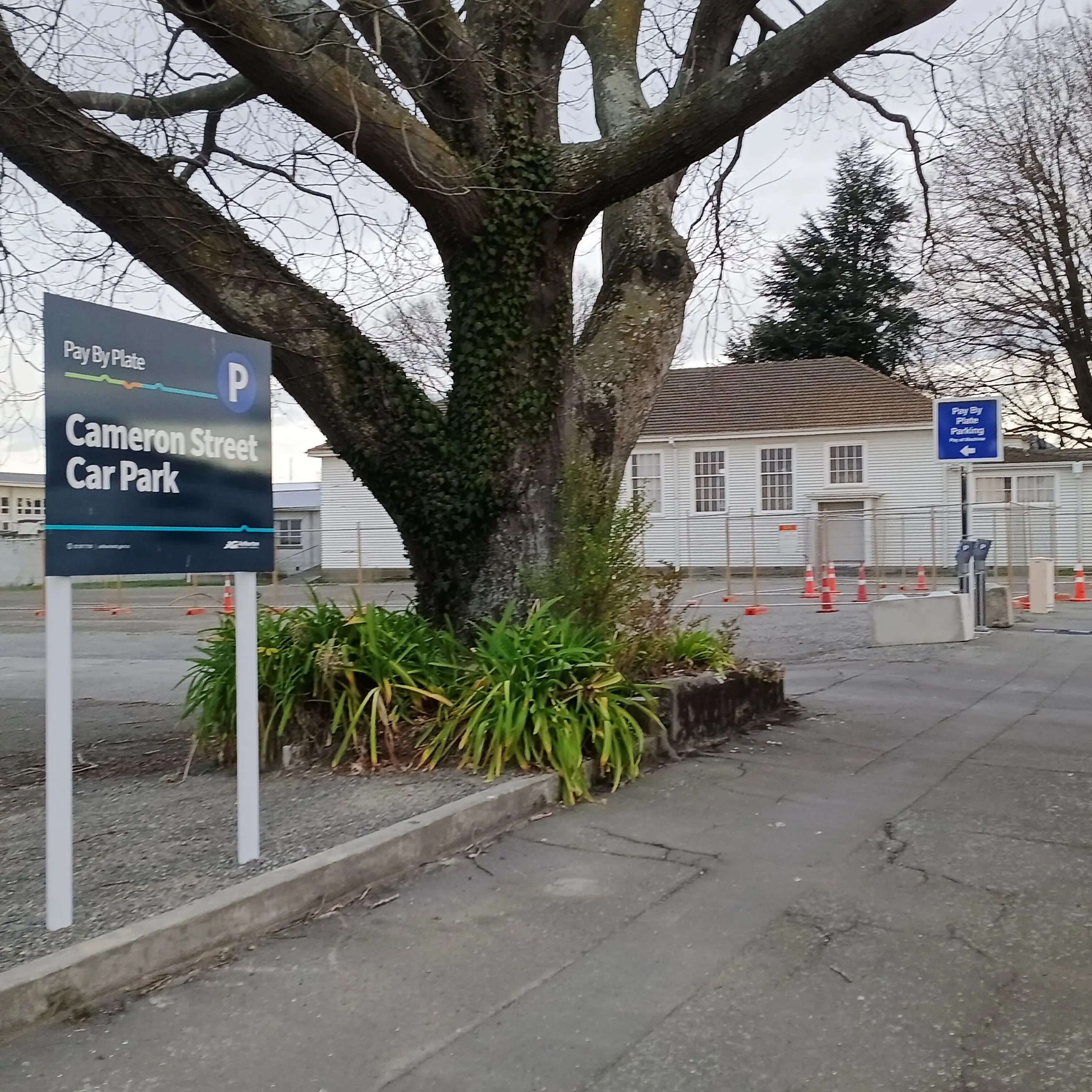 Newly created car park generates $51 in first two months, designed for future flexibility