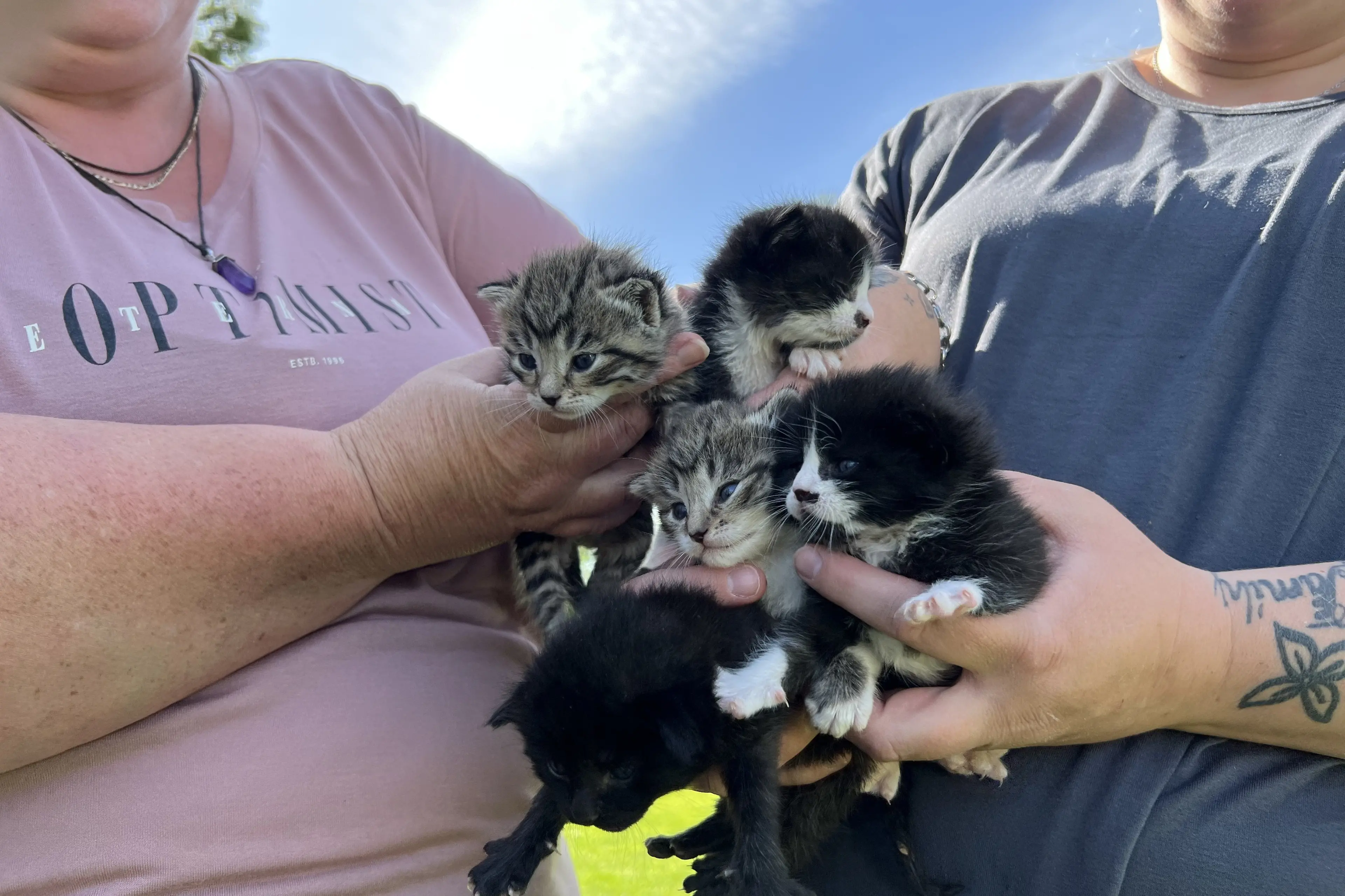 PussN Boots Kitty rescue with five abandoned kittens they hand-reared. Photo: File