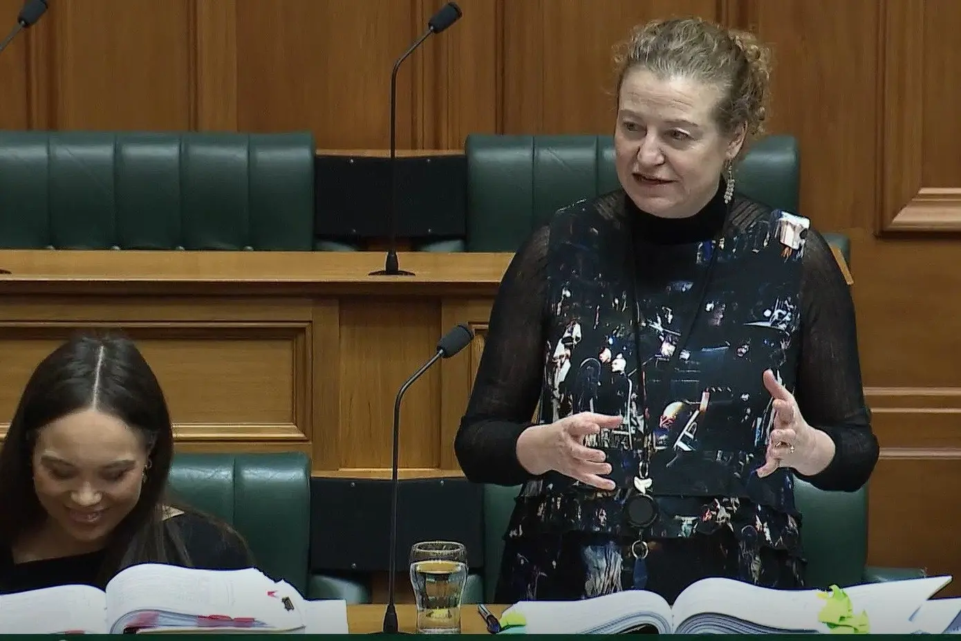 Labour Dunedin MP Rachel Brooking takes on the government\\'s planning law reforms, seemingly much to the amusement of colleague Arena Williams.