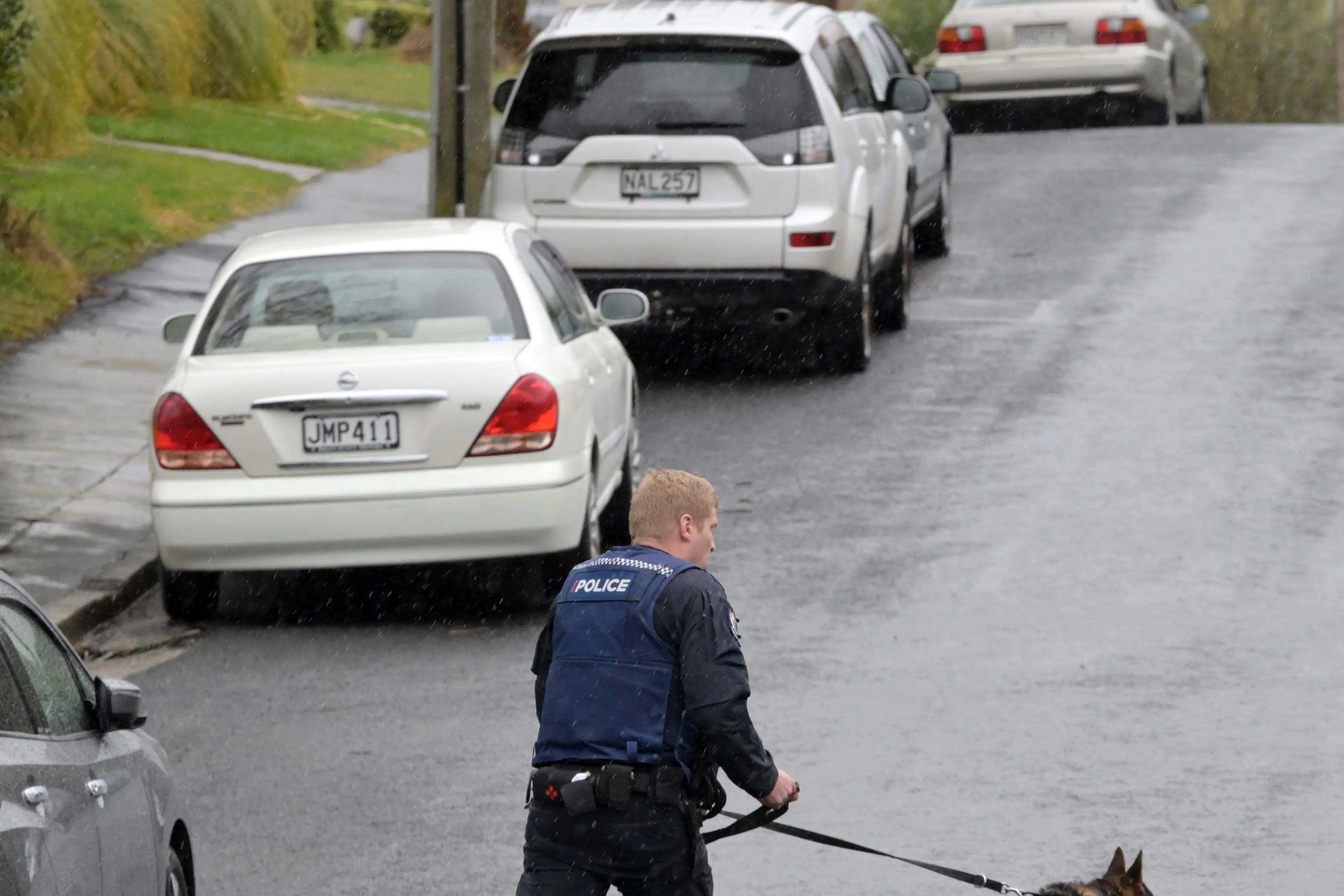 A police dog handler attempts to track an occupant of a stolen vehicle that was abandoned in Dunedin on Thursday. Photo: Gerard O\\'Brien