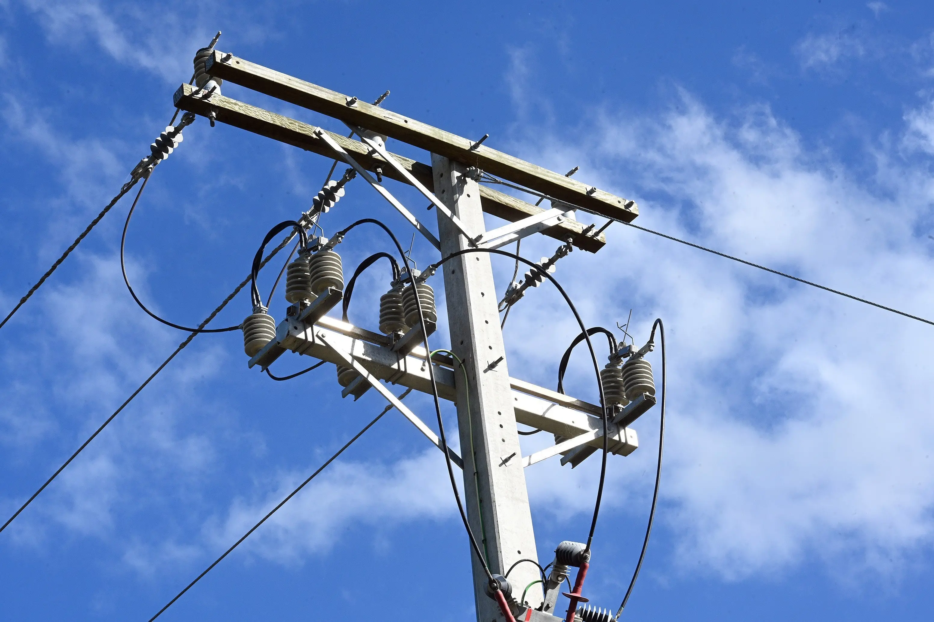 Sharing services with another power company would not have worked for Aurora Energy, the firm has concluded. Photo: Linda Robertson