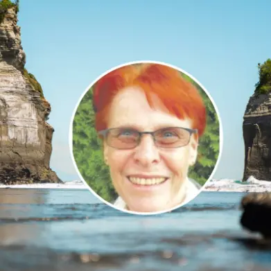 Coroner calls for ‘keep left’ stickers after tourist dies in wrong-lane crash