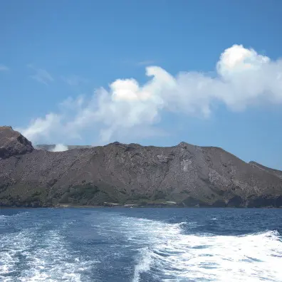 NZ waters searched for skincare breakthroughs