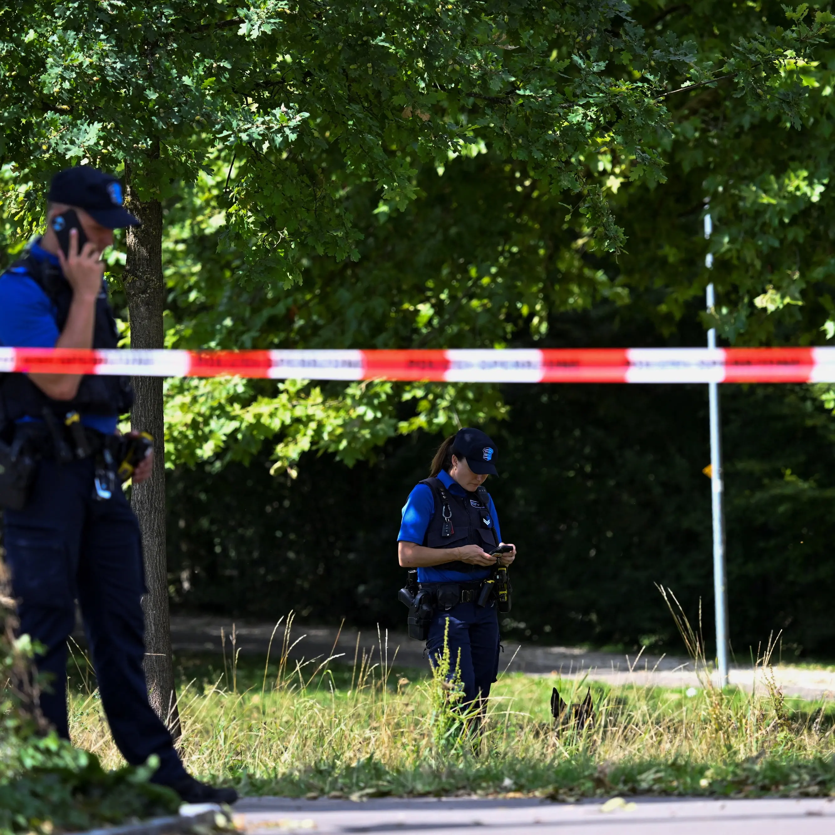 Swiss police arrest suspect over deadly rave shooting
